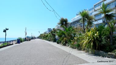 Palm trees along the seafront provide additional shelter