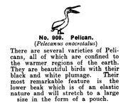 Pelican, Britains Zoo No909 (BritCat 1940).jpg