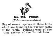 Pelican, Britains Zoo No913 (BritCat 1940).jpg