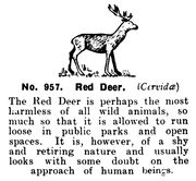 Red Deer, Britains Zoo No957 (BritCat 1940).jpg