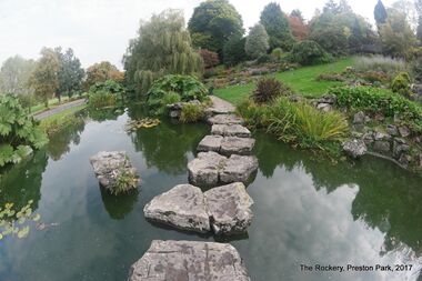 2017: Stepping stones over Rockery Pond