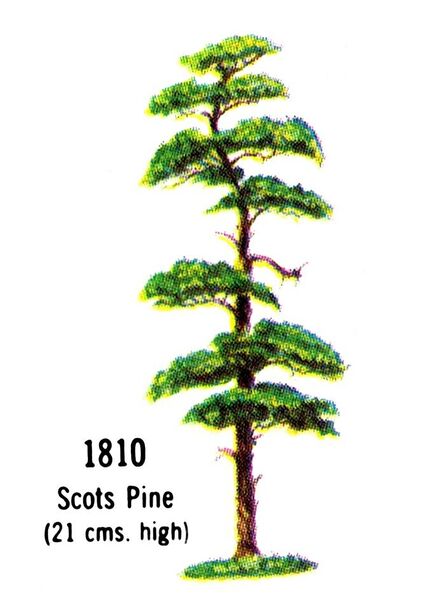 File:Scots Pine Tree, 1810 (BritainsCat 1967).jpg