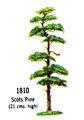 Scots Pine Tree, 1810 (BritainsCat 1967).jpg