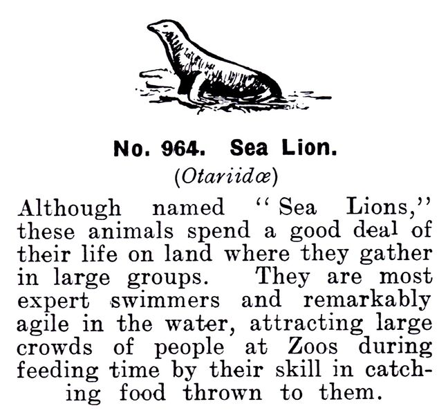 File:Sea Lion, Britains Zoo No964 (BritCat 1940).jpg