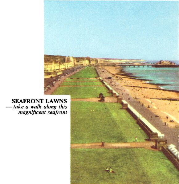 File:Seafront Lawns, Hove (BHOG ~1961).jpg
