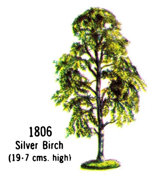 File:Silver Birch Tree, 1806 (BritainsCat 1967).jpg