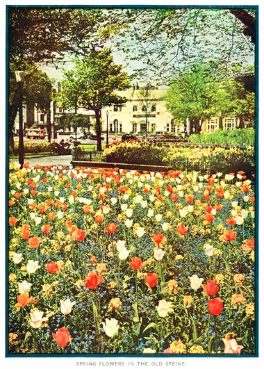 1935: Spring Flowers in the Old Steine