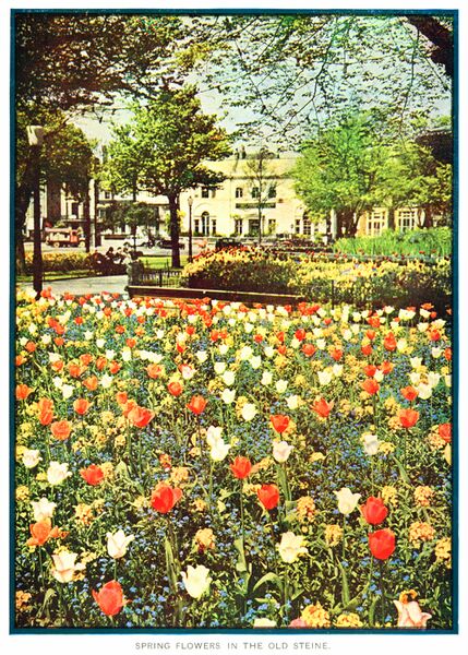 File:Spring Flowers in the Old Steine (BrightonHbk 1935).jpg