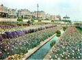 Springtime at Brighton - The Water Garden (BrightonHbk 1939).jpg