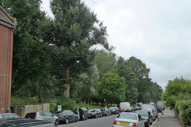 Approach to St Ann's Well Gardens from the Eastern end of Nizells Avenue