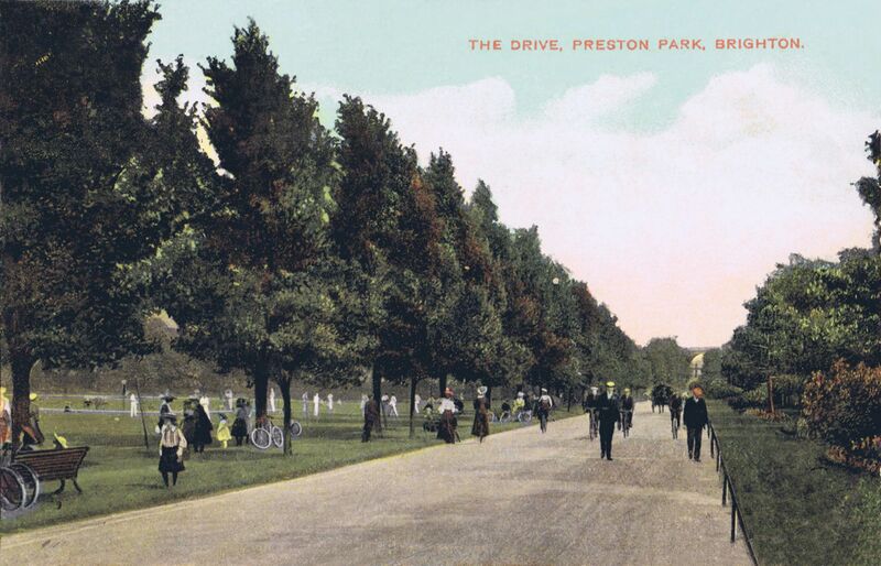 File:The Drive, Preston Park, postcard (GDDStarSeries pm1908).jpg