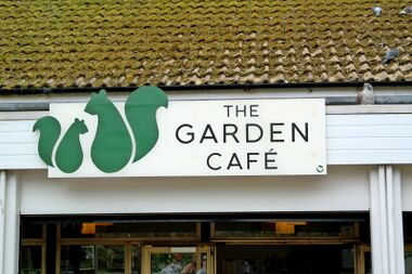 2014: The "green squirrels" logo of "The Garden Cafe"
