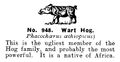 Wart Hog, Britains Zoo No948 (BritCat 1940).jpg