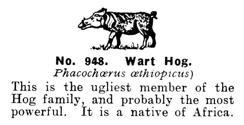 File:Wart Hog, Britains Zoo No948 (BritCat 1940).jpg