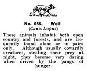 Wolf, Britains Zoo No955 (BritCat 1940).jpg