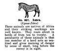 Zebra, Britains Zoo No907 (BritCat 1940).jpg