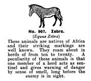 Zebra, Britains Zoo No907 (BritCat 1940).jpg