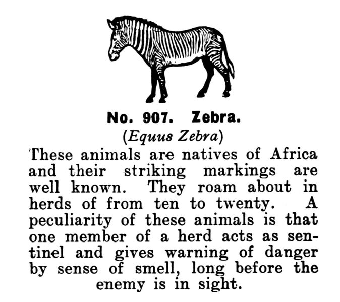 File:Zebra, Britains Zoo No907 (BritCat 1940).jpg